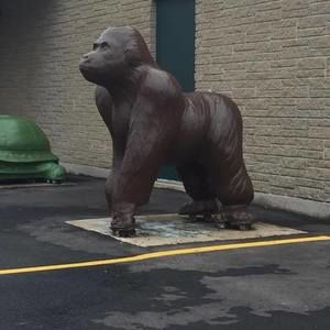 Meet your Posher, Charles